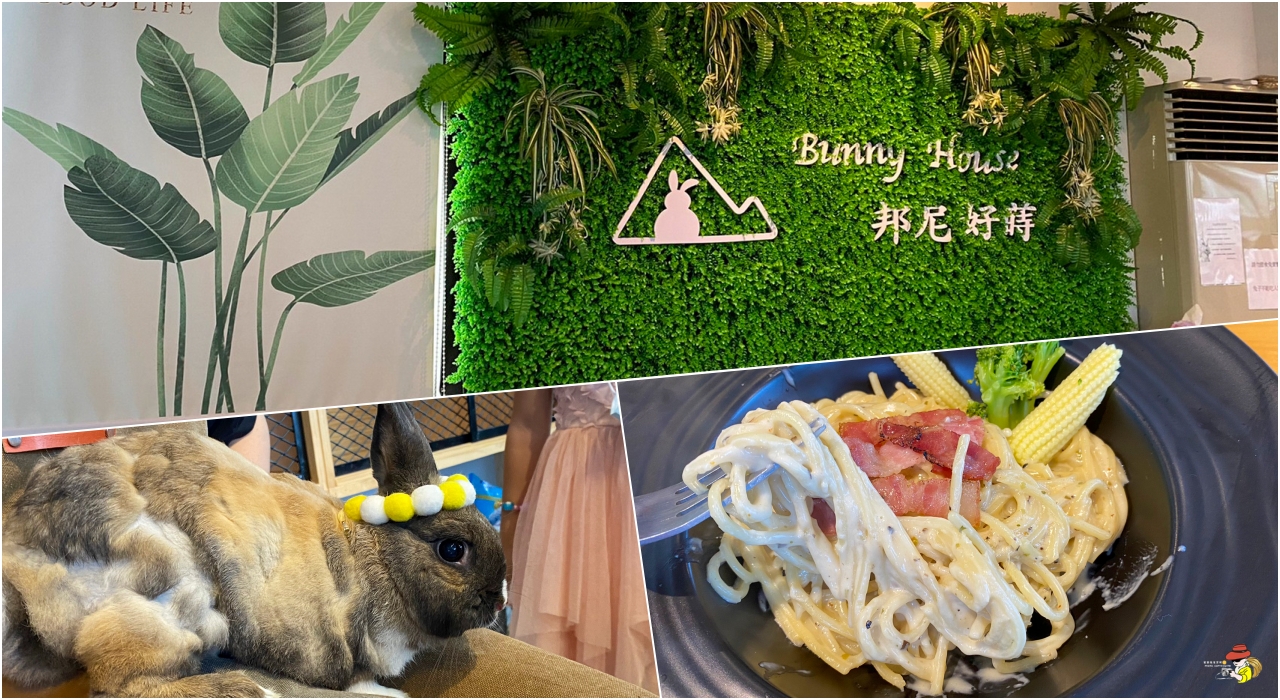 邦尼好蒔Bunny House|宜蘭兔子寵物餐廳 兔兔交流廳 宜蘭寵物兔友善親子餐廳