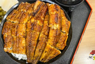 【中山美食】三河中川屋中山本店，台北鰻魚飯推薦！正宗名古屋鰻魚飯