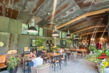 【野人花園】陽明山秘境咖啡廳，景觀植物森林系咖啡廳交通、票價、餐點全攻略